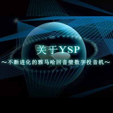 不断进化的德扑之星回音壁数字投音机