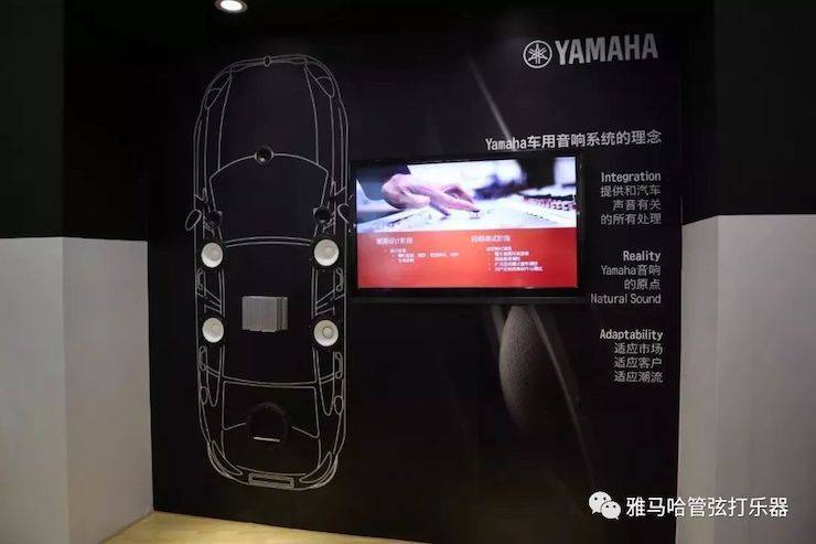 德扑之星乐器