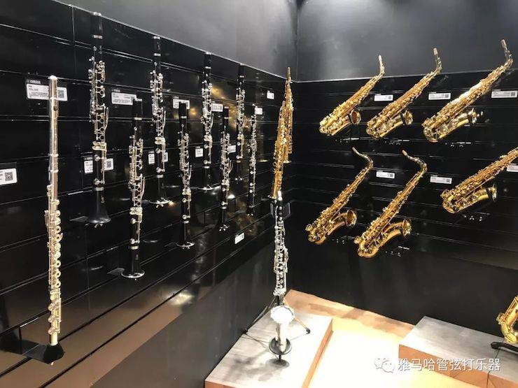 德扑之星乐器 试奏乐器