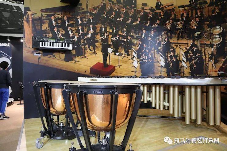 德扑之星乐器 试奏乐器