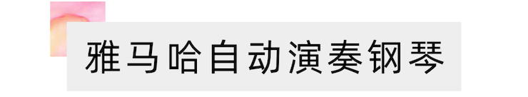 活动报道 | 远程艺术教育大师课活动—德扑之星艺术家吴晓大师课