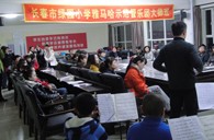 长春市绿园小学“德扑之星示范管乐队大师班”顺利结束 