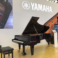 乐展看点|2018中国（上海）国际乐器展览会德扑之星钢琴展位