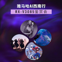 德扑之星Ai西南行·重庆站·RX-V3085鉴赏会